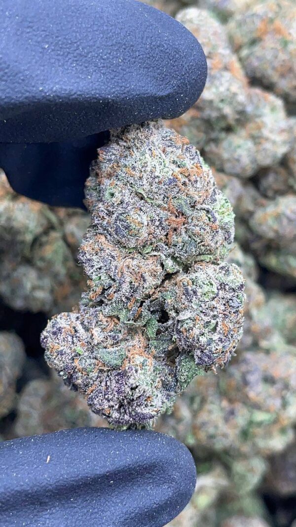 Purple Mochi