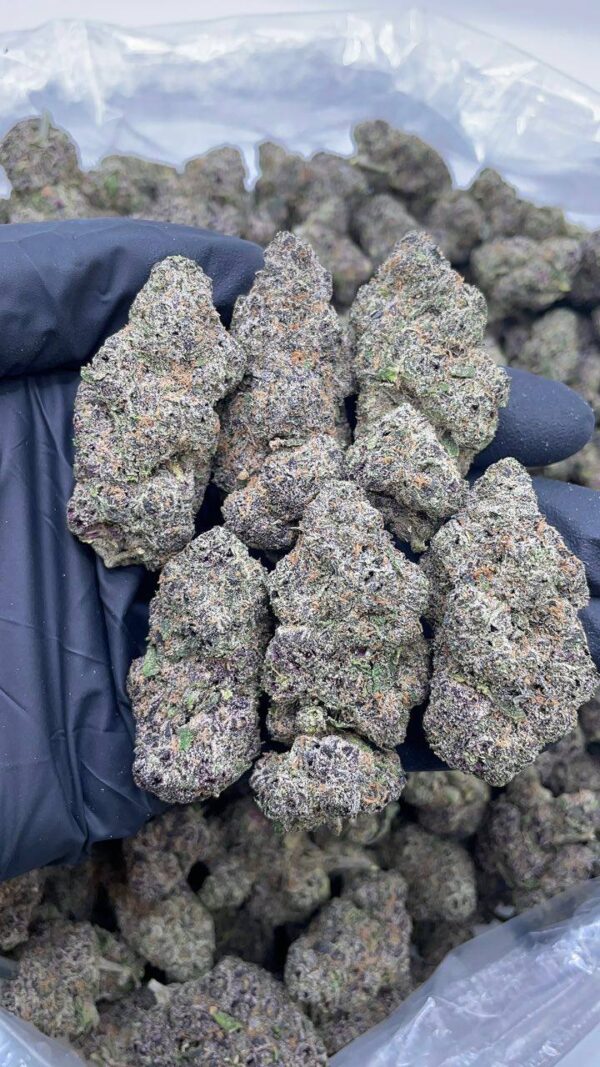 Grape Zoda
