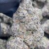Grape Zoda