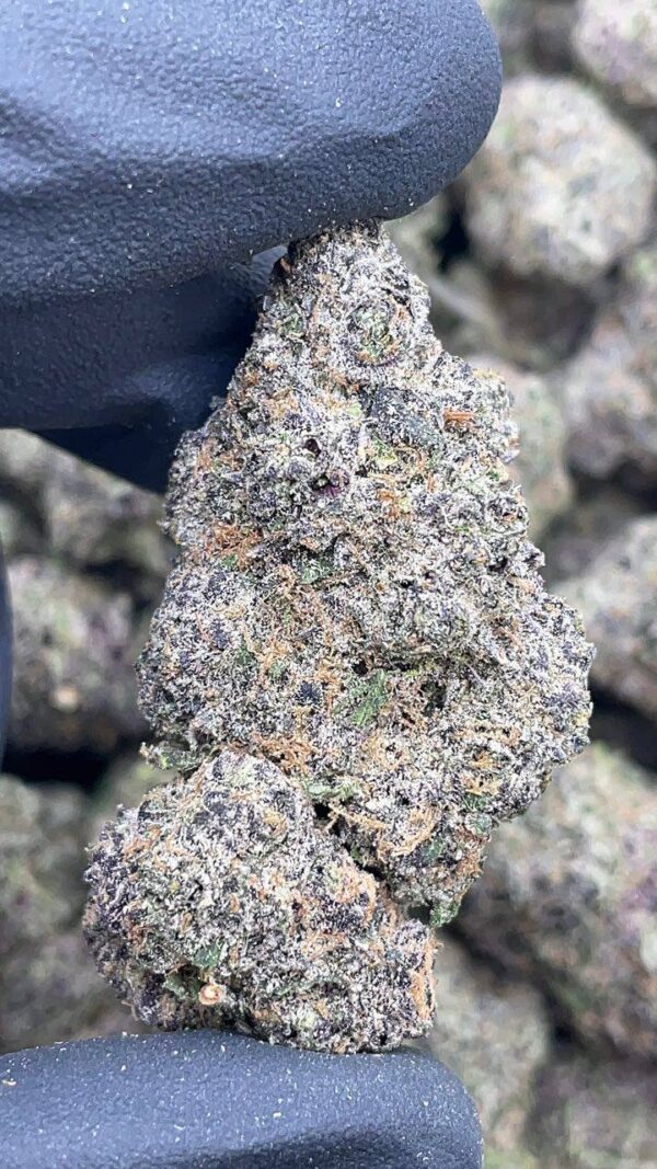 Grape Zoda