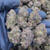 Purple Runtz