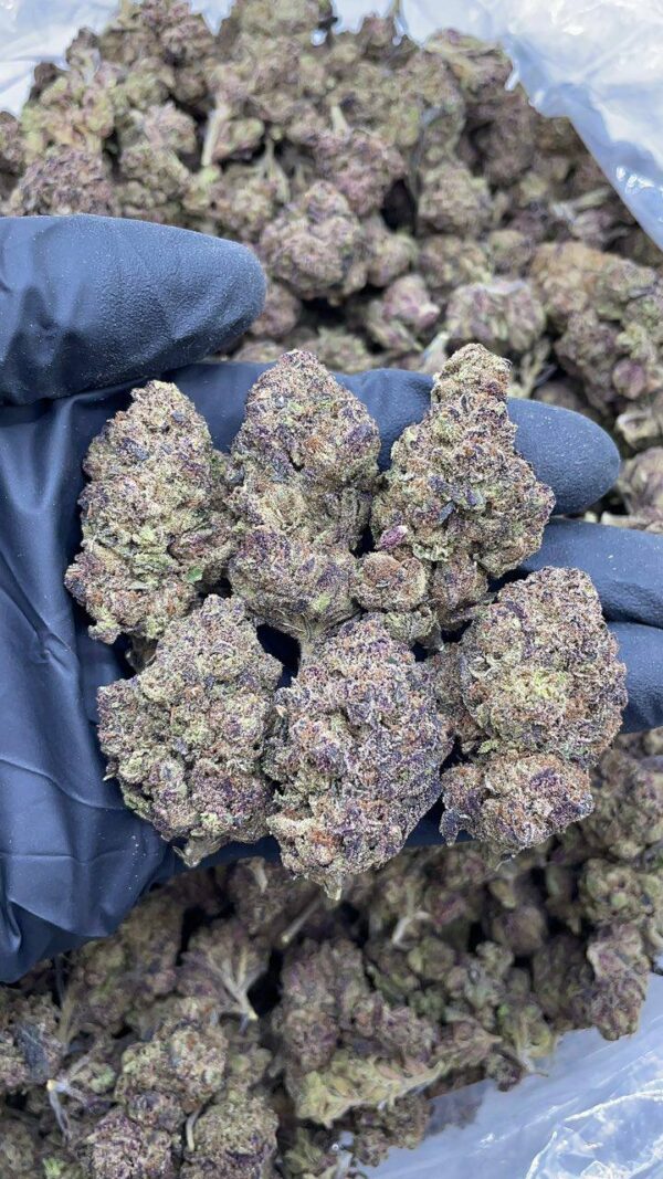 Purple Runtz