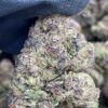 Purple Runtz