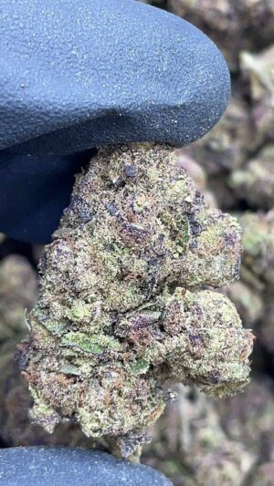 Purple Runtz