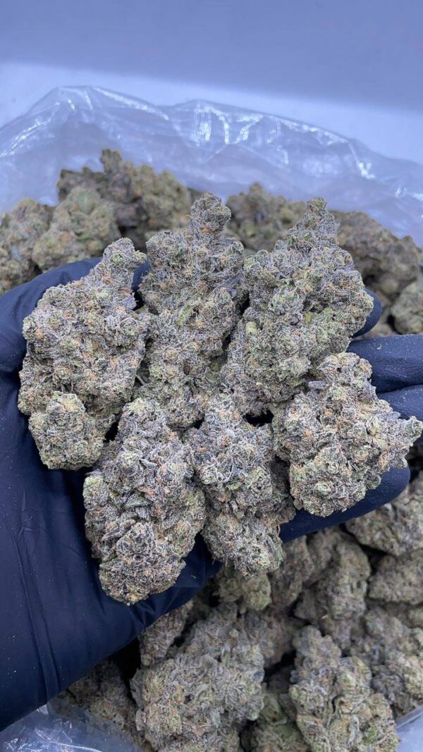 Grand Daddy Perc