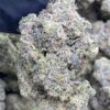 Grand Daddy Perc