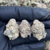Alien Cookies Smalls