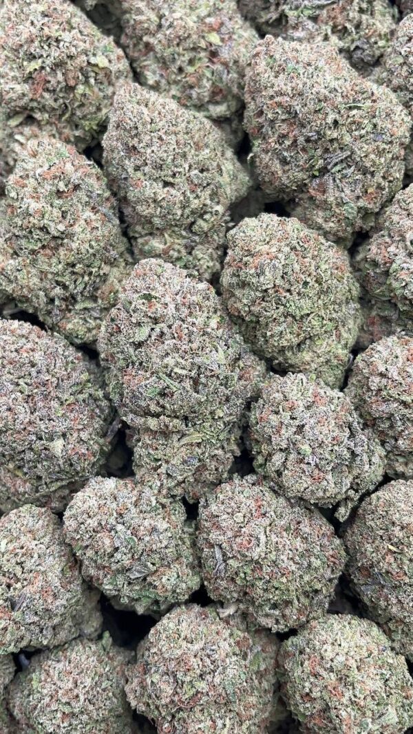 Frosted Donuts