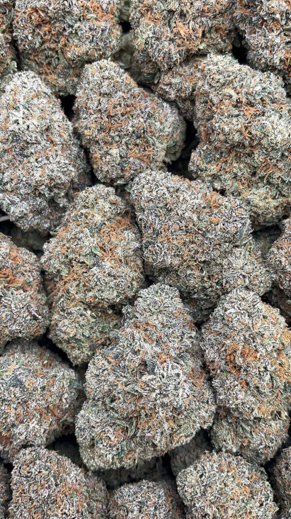 Cherry Gorilla