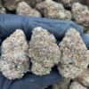 Cherry Gorilla