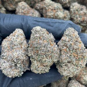 Cherry Gorilla