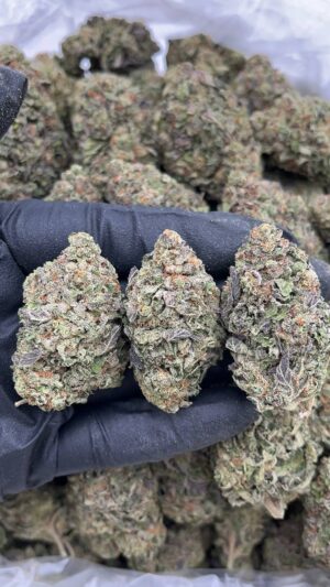 Triangle Kush