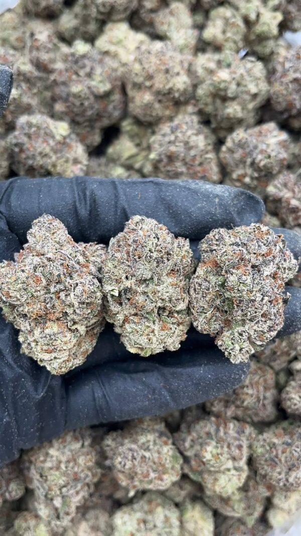 Pop Candy