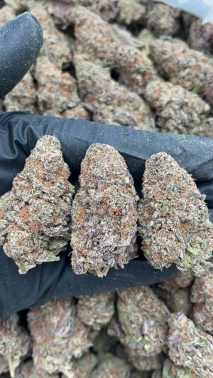 Chemdawg Guava