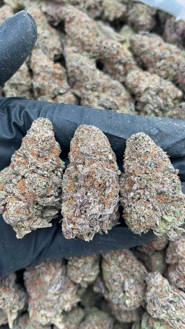 Chemdawg Guava
