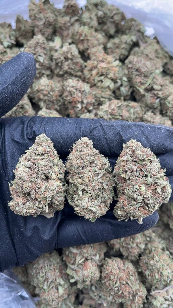 Platinum Gummies