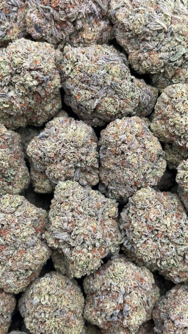 Gelato King