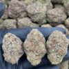 Gelato King