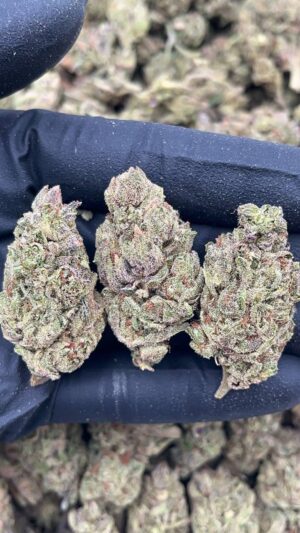 Oreo Cookies