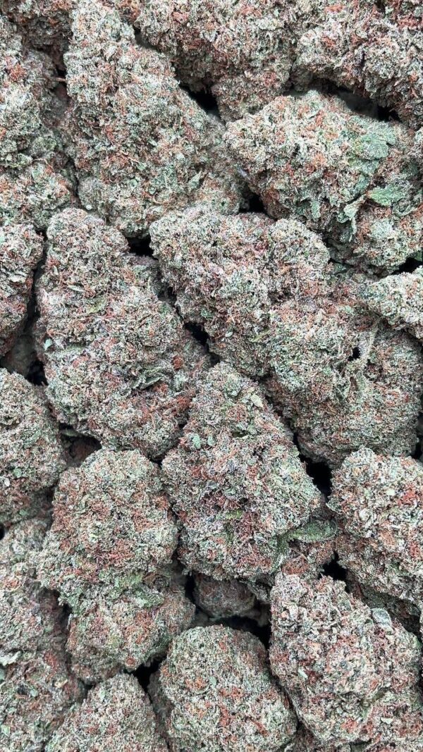 Black Gelato