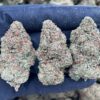 Black Gelato
