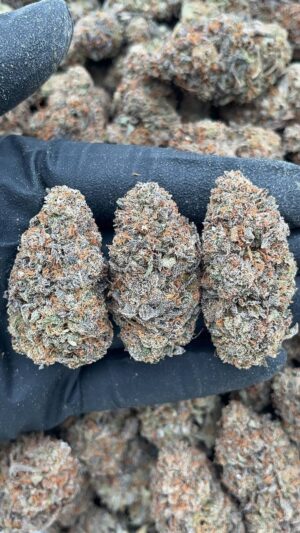 Berry Runtz