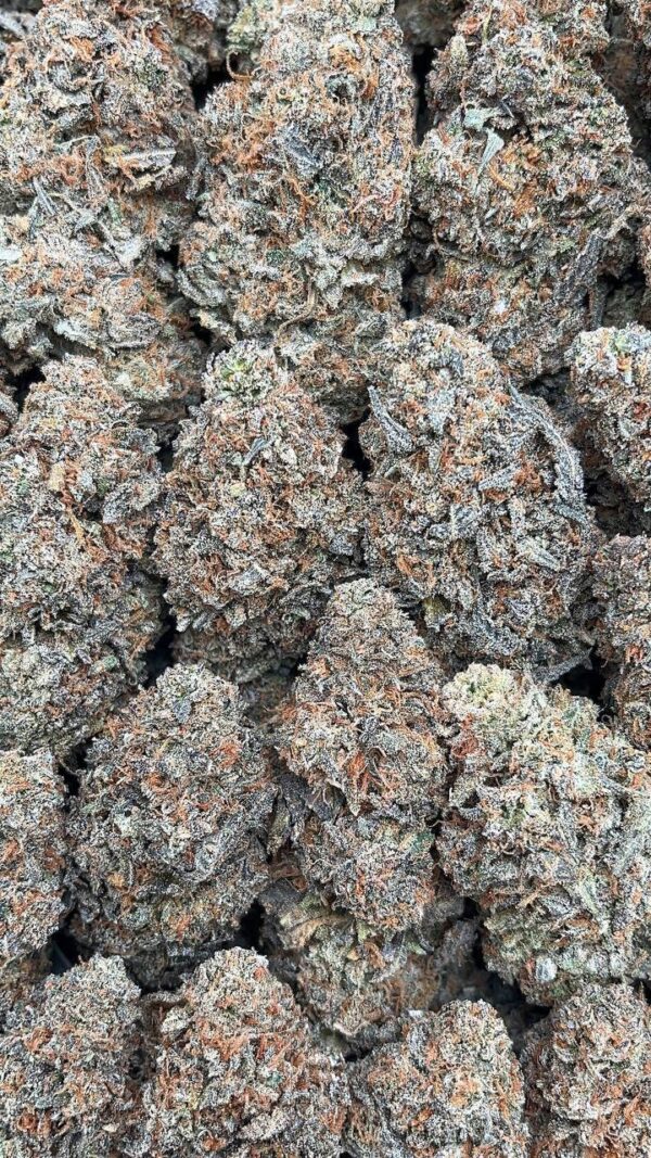Berry Runtz