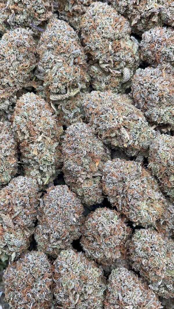 Platinum Valley