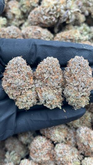 Platinum Valley