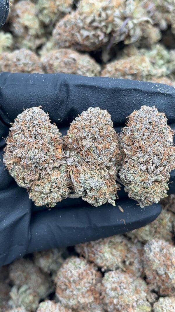 Platinum Valley