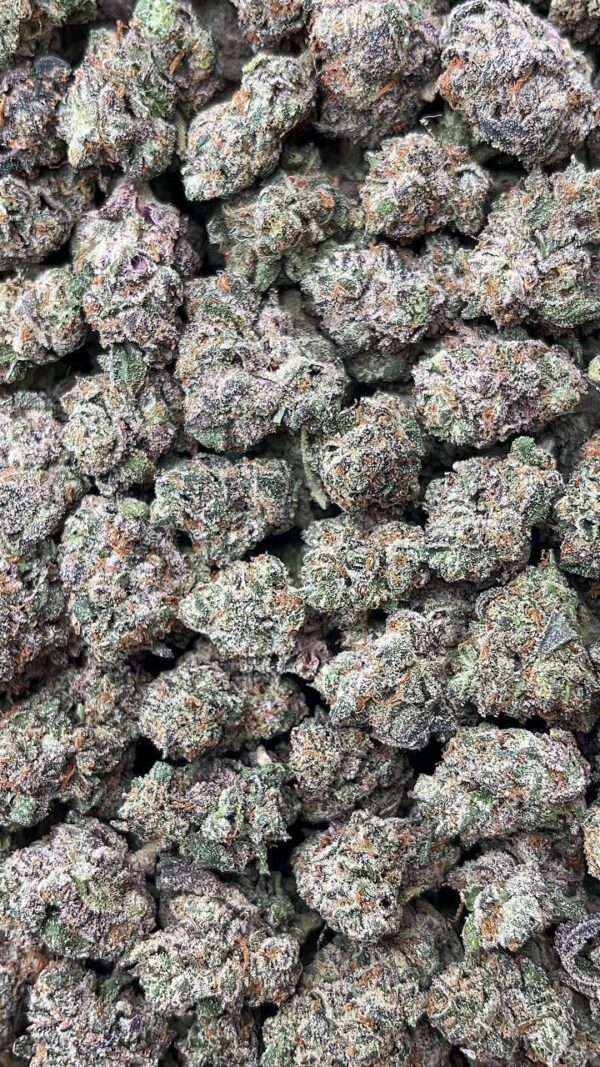 Blizzard Smalls
