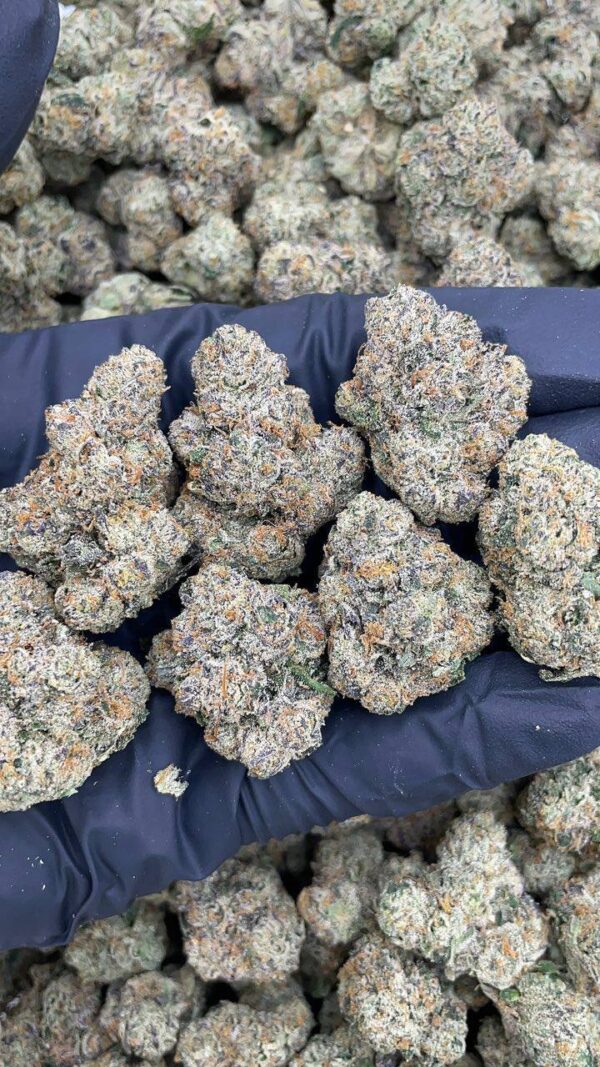 Diamond Dust