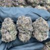 Black Cherry Pie
