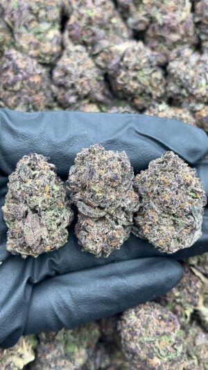 Black Cherry Pie