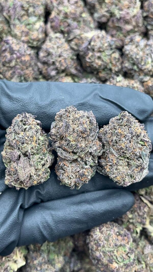 Black Cherry Pie