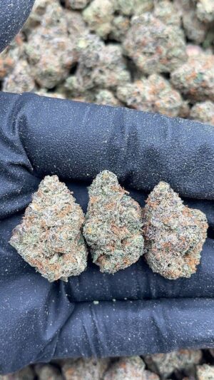 Sour Maui Wowie