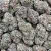 Purple Champagne