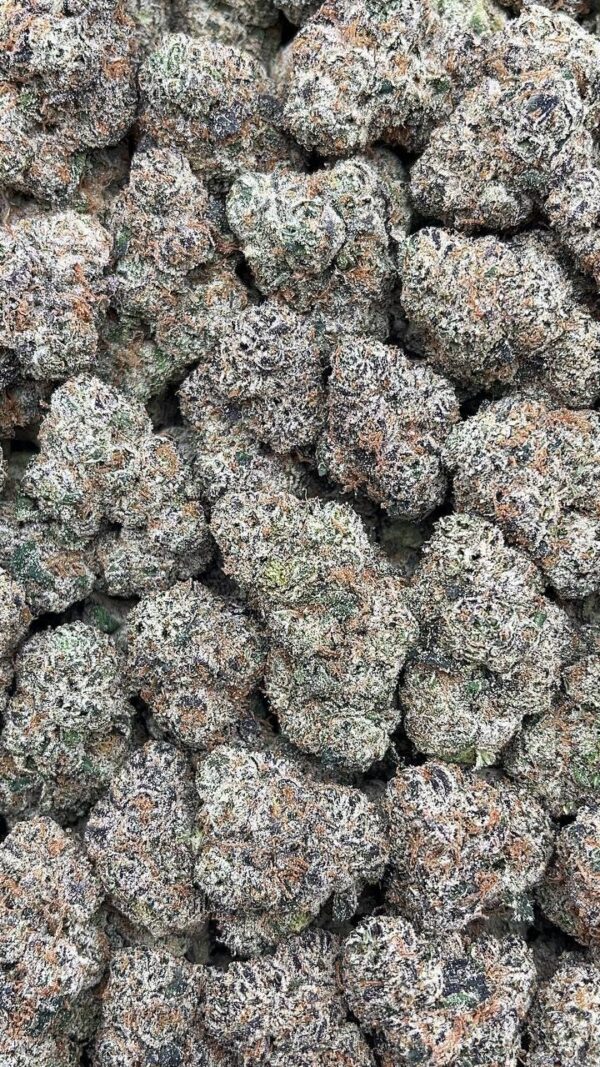 Purple Champagne