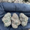 Purple Champagne