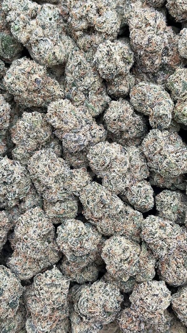Cosmic Cookies Smalls