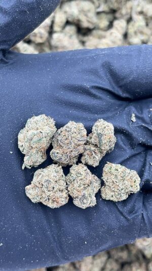 Cosmic Cookies Smalls