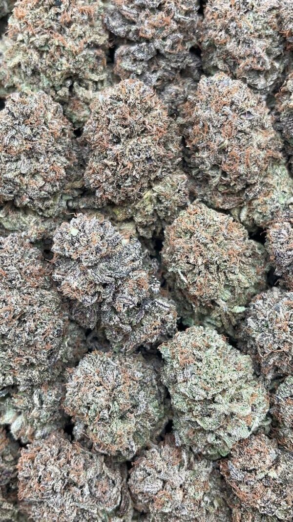 Platinum Candy