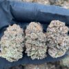 Platinum Candy