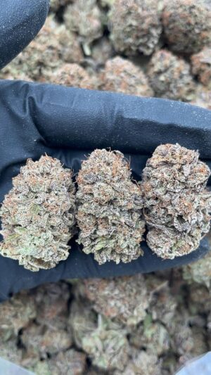 Platinum Candy
