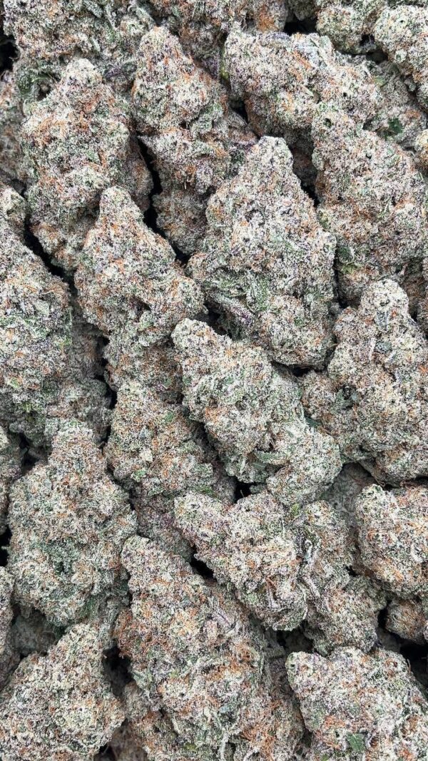 Alien Cookies