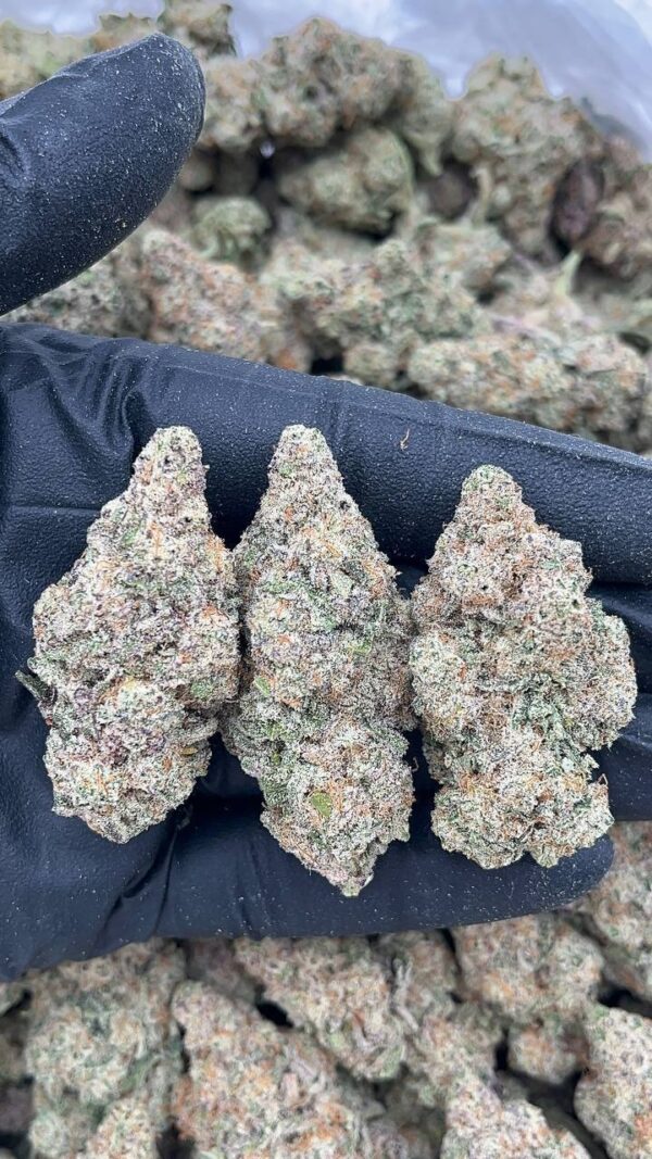 Alien Cookies