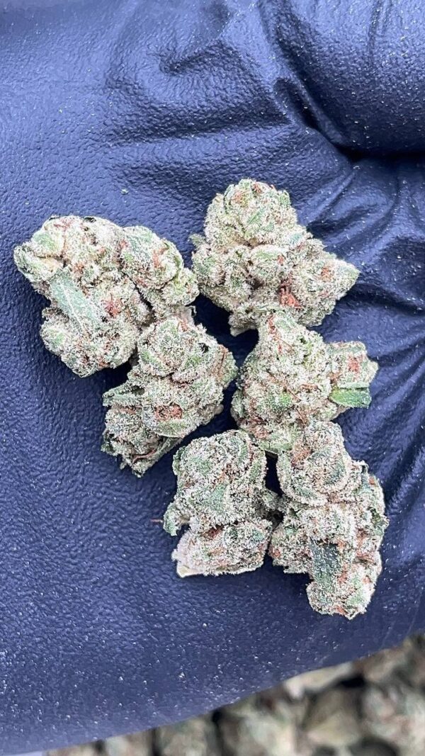 Dream Weaver Smalls