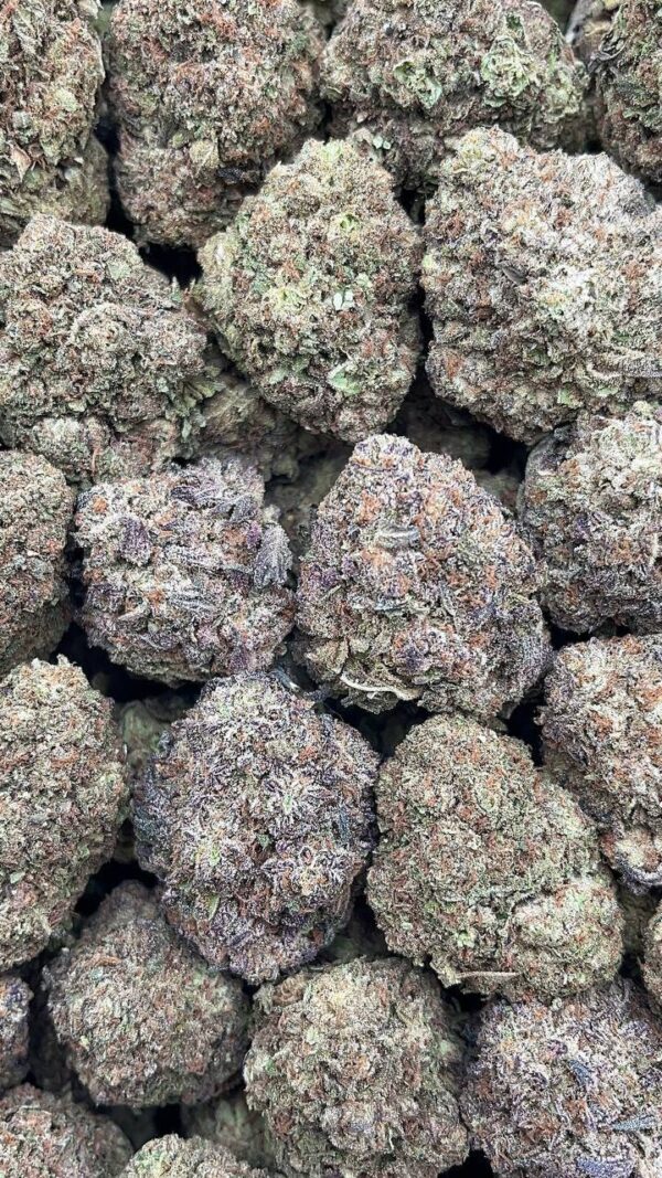 Martian Muffins