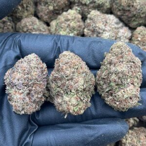 Martian Muffins