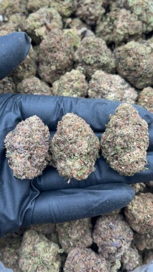 Martian Muffins